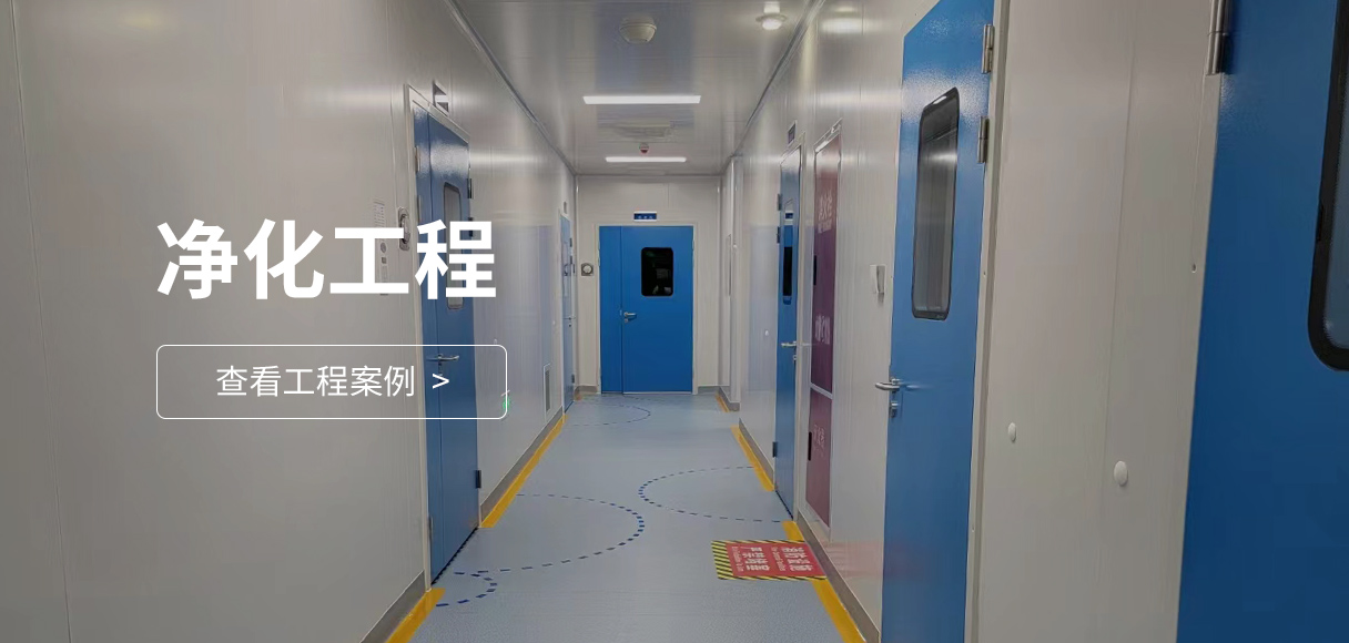 淨化工程案例