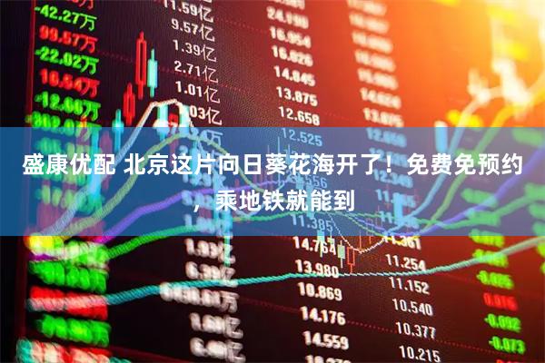 盛康优配 北京这片向日葵花海开了！免费免预约，乘地铁就能到