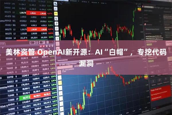 美林资管 OpenAI新开源：AI“白帽”，专挖代码漏洞