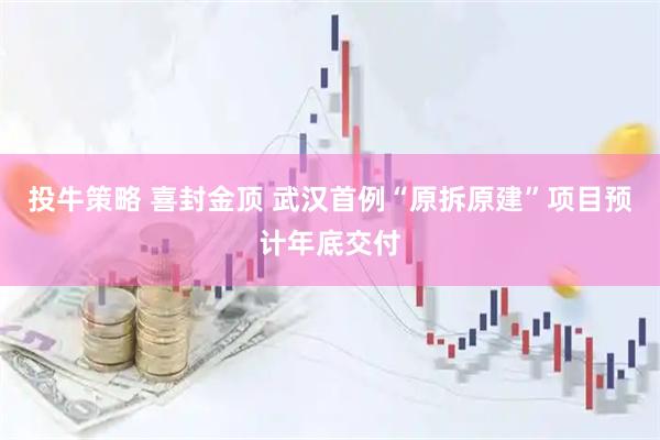 投牛策略 喜封金顶 武汉首例“原拆原建”项目预计年底交付