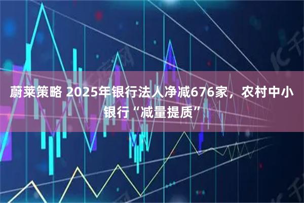 蔚莱策略 2025年银行法人净减676家，农村中小银行“减量提质”